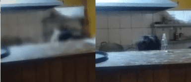 A la pareja no le importaba si alguien la estaba viendo. Pareja se rinde a sus bajas pasiones y es captada en la cocina del chifa: "Por eso no sale mi chaufa"