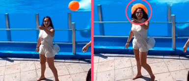 Delfín ataca fuertemente a una mujer con pelota de plástico mientras realizaba su show en acuario Delfín ataca fuertemente a una mujer con pelota de plástico mientras realizaba su show en acuario