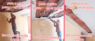 Familia que criaba a su perro en el techo ahora deberá cambiar infraestructura Familia que criaba a su perro en el techo ahora deberá cambiar infraestructura: "La orina lo destruyó"