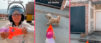 Motociclista se cansa de perritos de la calle y compra pistola de agua para ahuyentarlos Motociclista se cansa de perritos de la calle y compra pistola de agua para ahuyentarlos: "La mejor compra"