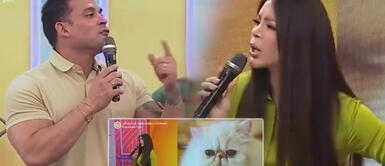 Sheyla Rojas y Christian Domínguez discuten Sheyla Rojas reacciona ante burla de Christian Domínguez tras llamarla "gato persa"