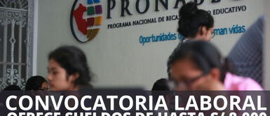 Pronabec lanzó una nueva convocatoria laboral con elevados sueldos de hasta 8 mil soles. Pronabec lanza oferta de trabajo con sueldos hasta S/ 8,000 a nivel nacional: Postula AQUÍ ahora