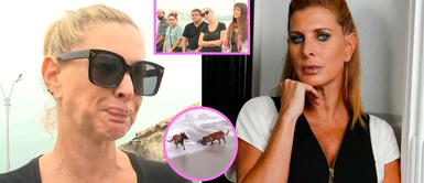 Leslie Stewart alza su voz contra dueño de perros que mataron a lobo marino en Punta Hermosa. ¡Indignada! Leslie Stewart alza su voz contra dueño de perros que mataron a lobo marino en Punta Hermosa