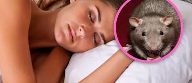 Revela el misterio de soñar con ratones que se te suben al cuerpo ¿Qué significa soñar con ratones que se te suben al cuerpo?