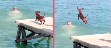 Perrito se vuelve viral tras meterse un clavado en el mar: “Un auténtico campeón” Perrito se vuelve viral tras meterse un clavado en el mar: “Un auténtico campeón”