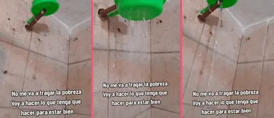 Hombre peruano es 'buscado por la NASA' tras ingenioso invento para su ducha Hombre peruano es 'buscado por la NASA' tras ingenioso invento para su ducha