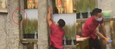 Rata asusta a clientes de concurrido restaurante Comensales entran en pánico por rata, pero mozo la atrapa y la lleva a la cocina