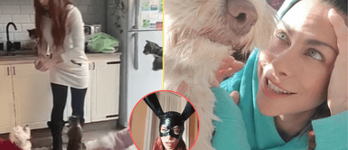 Xoana González tiene animalitos rescatados en casa. Xoana González se prepara para estrenar su casa de campo y comparte su felicidad con sus adorables perritos