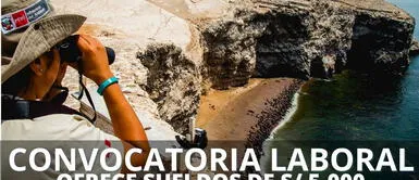 Postula en la gran convocatoria de Sernanp y consigue un puesto bien remunerado. ¿Sin empleo? Sernanp abrió una convocatoria laboral con sueldos de hasta S/ 5,000: postula AQUÍ