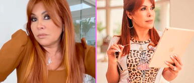 Esta es la sorprendente carrera alejada del periodismo que estudió Magaly antes de su ingreso a TV. Magaly Medina: esta es la sorprendente carrera alejada del periodismo que estudió antes de su ingreso a TV