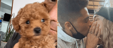 Rodrigo Cuba se mostró emocionado con su perrito. Rodrigo Cuba se olvida de Ale Venturo y muestra tierno VIDEO de su nuevo amor