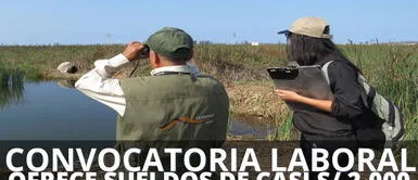 Sernanp abrió una gran convocatoria laboral con sueldos de casi S/ 2,000. ¿Buscas un empleo con pocos requisitos? Sernanp abrió una convocatoria con sueldos de casi S/ 2,000