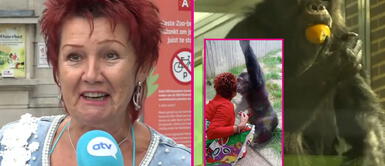 Mujer belga se terminó obsesionando con chimpancé de nombre 'Chita' Mujer se enamoró de chimpancé y buscó tener relaciones con él: zoológico la vetó al saber de sus intenciones