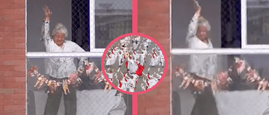 Señora que veía desde su balcón el desfile se contagia y saca sus mejores pasos de Marinera Señora que veía desde su balcón el desfile se contagia y saca sus mejores pasos de Marinera