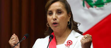 La presidenta Dina Boluarte tiene dos hijos mayores de edad, quienes estudiaron desafiantes carreras. Esta es la costosa y desafiante carrera que estudió Daniel Gómez, el hijo de la presidenta Dina Boluarte