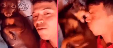 ¡Del amor al odio! Joven intenta demostrar el amor que le tiene su perrita, pero le muerde la nariz ¡Del amor al odio! Joven intenta demostrar el amor que le tiene su perrita, pero le muerde la nariz