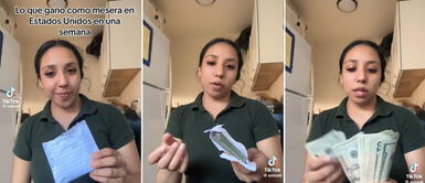 Una ciudadana mexicana reveló cuántos cientos de dólares ganó solo por una semana trabajando como mesera. Usuaria de TikTok expone el astronómico monto semanal que recibe como mesera en Estados Unidos