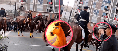 Caballo se reciente con su jinete durante parada militar y se niega a marchar: “¡Que se baje!” Caballo se reciente con su jinete durante parada militar y se niega a marchar: “¡Que se baje!”