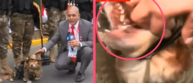 Perrito muerde la mano a periodista durante la parada militar y usuarios se derriten de amor: “Que hermoso” Perrito muerde la mano a periodista durante la parada militar y usuarios se derriten de amor: “Que hermoso”