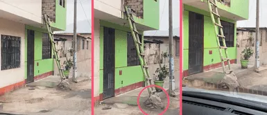 Peruano instala escalera de madera para subir a su segundo piso y usuarios reaccionanPeruano instala escalera de madera para subir a su segundo piso y usuarios reaccionan Peruano instala escalera de madera para subir a su segundo piso y usuarios reaccionan: "Entrada independiente"