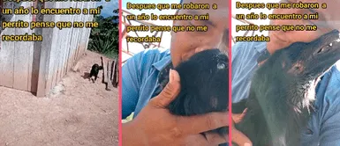 Perrito no para de llorar tras ser recuperado por su dueño: "Pensé que no me recordaba" Perrito no para de llorar tras ser recuperado por su dueño que llevaba 1 año buscándolo: "Pensé que no me recordaba"