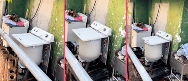 Impresionante lavadora funciona a pesar de su estado y escena sorprende a todo TikTok Impresionante lavadora funciona a pesar de su estado y escena sorprende a todo TikTok