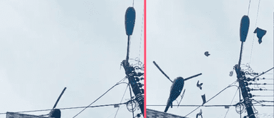 Helicóptero pasa muy cerca a edificio y tira toda la ropa de cordel Helicóptero pasa muy cerca a edificio y tira toda la ropa de cordel: "Por no colocar los ganchos"