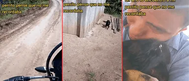 El perrito se mostró emocionado al encontrarse con su dueño. Emotivo reencuentro: Después de un año, encuentra a su perro robado y perdido