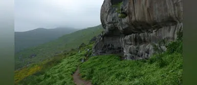 Reafirman compromiso por conservación ambiental Reafirman compromiso por conservación ambiental en las Lomas de Lúcumo
