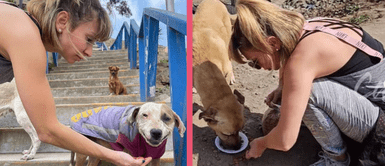 Belén Estévez hace un admirable trabajo al brindar ayuda a animales abandonados en las calles Belén Estévez hace un admirable trabajo al brindar ayuda a animales abandonados en las calles