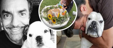 Eugenio Derbez destrozado tras muerte de su perrita “El dolor que hoy siento, es inmenso” Eugenio Derbez destrozado tras muerte de su perrita “El dolor que hoy siento, es inmenso”