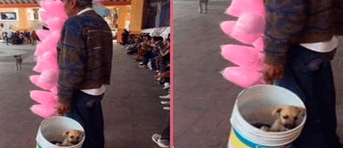 Hombre de avanzada edad carga a su perrito adoptado mientras vende algodones de azúcar Hombre de avanzada edad carga a su perrito adoptado mientras vende algodones de azúcar