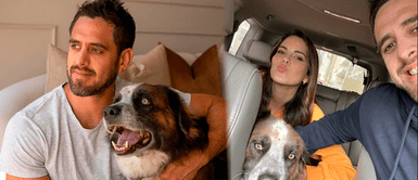 Pierre Cateriano defendió a su perro de usuario que lo criticó Esposo de Valeria Piazza arremete contra usuario que se burló de atenciones a su mascota: "Solo es un perro"