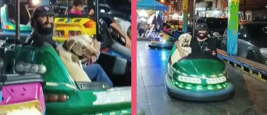 Perrito enternece las redes al subirse a los carros chocones con su dueño Perrito enternece las redes al subirse a los carros chocones con su dueño