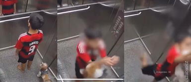 Niño salva a su perror de morir triturado en ascensor Cámara capta preciso momento en que niño salva a su perro de morir triturado por ascensor