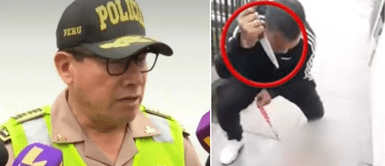 La perrita ya se encuentra fuera de peligro. Madre del AGRESOR en La Victoria denunció agresión a PERRITA, según la PNP