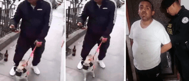 El sujeto fue arrestado por las autoridades. Indignación en La Victoria: VIDEO muestra cómo sujeto apuñaló a indefensa perrita de su expareja