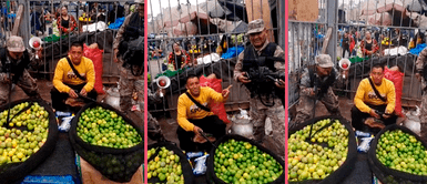 'Militares' resguardan a vendedores de limones en Mercado La Parada: "Es más valioso que un carro" 'Militares' resguardan a vendedores de limones en Mercado La Parada: "Es más valioso que un carro"