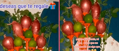 Joven emocionó a su pareja con ramo de cebollas y limones ¡Un lujoso detalle! Joven emocionó a su pareja con ramo de cebollas y limones