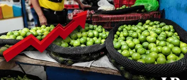 Precio del kilo de limón PRECIO DEL LIMÓN hoy 6 de septiembre ¿Cuánto cuesta el kilo en Lima y en otras ciudades?