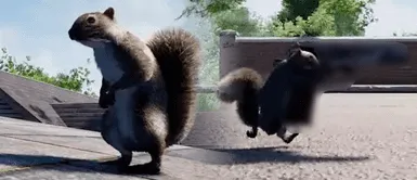 ¿Una ardilla usando armas de fuego? Una ardilla causa terror en la cuidad tras atacar a los transeúntes ¿Una ardilla usando armas de fuego? Una ardilla causa terror en la ciudad tras atacar a los transeúntes