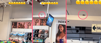 ¡Escándalo! Reportan ratas en Ripley de Shell en Miraflores: "Es que es Pet Friendly" ¡Escándalo! Reportan ratas en Ripley de Shell en Miraflores: "Es que es Pet Friendly"