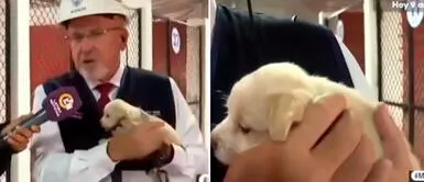 Carlos Bruce protagonizó peculiar momento con perrito enfermo Cachorrito ve a Carlos Bruce y lo vomita EN VIVO: "Esas cosas pasan con los bebés"