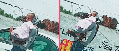 Mujer pedía limosna para su retoño en calles; pero no era un bebé sino su perrhijo Mujer pedía limosna para su retoño en calles; pero no era un bebé sino su 'perrhijo'