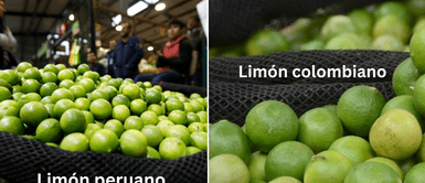 Diferencias del limón peruano y limón colombiano. ¿Cuáles son las diferencias del limón colombiano y peruano que lo consigues desde s/10?