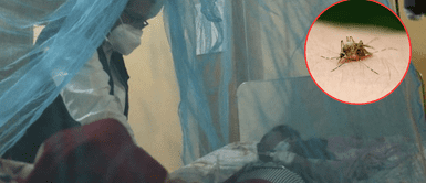 Casos de malaria en el Perú. OPS en alerta por malaria: ¿Cuántos casos se han reportado en el Perú?