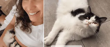 Érika Villalobos y su gran amor por su felino. Érika Villalobos y su fiel peludito: ¿Quién es el gran amor de la actriz?