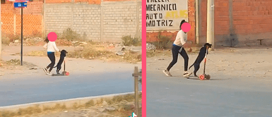 ¡Es la mascota de Toretto! Perrito disfruta manejando un scooter y su hermana humana corre detrás de el ¡Es la mascota de Toretto! Perrito disfruta manejando un scooter y su hermana humana corre detrás de el