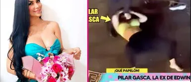 La modelo peruana Pilar Gasca decidió romper su silencio luego de las bochornosas imágenes emitidas por Amor y Fuego Pilar Gasca rompe su silencio y se pronuncia luego de agredir a su madre con una patada en el rostro: ¿Qué dijo?