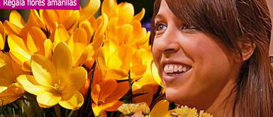 Miles regalarán en septimbre flores amarillas Flores amarillas: ¿por qué se regalan el 21 de septiembre? Aquí la explicación